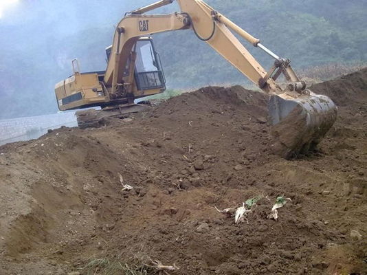 2002 a cubeta E120B do ano 80.3kw 0.5cbm usou CAT Excavator fornecedor